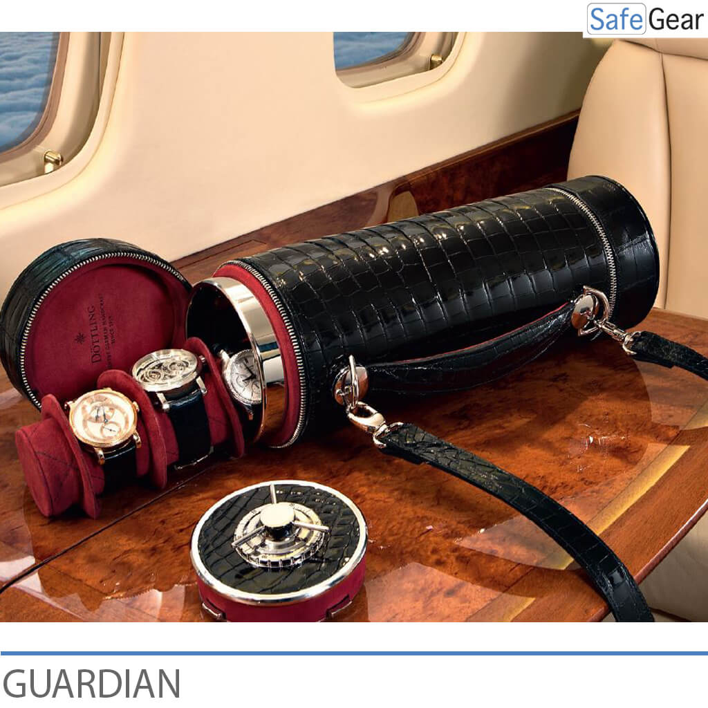Döttling Guardian watch traveling case