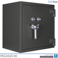Pegasus VI - Thumbnail