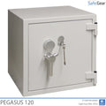 Pegasus VI - Light Grey