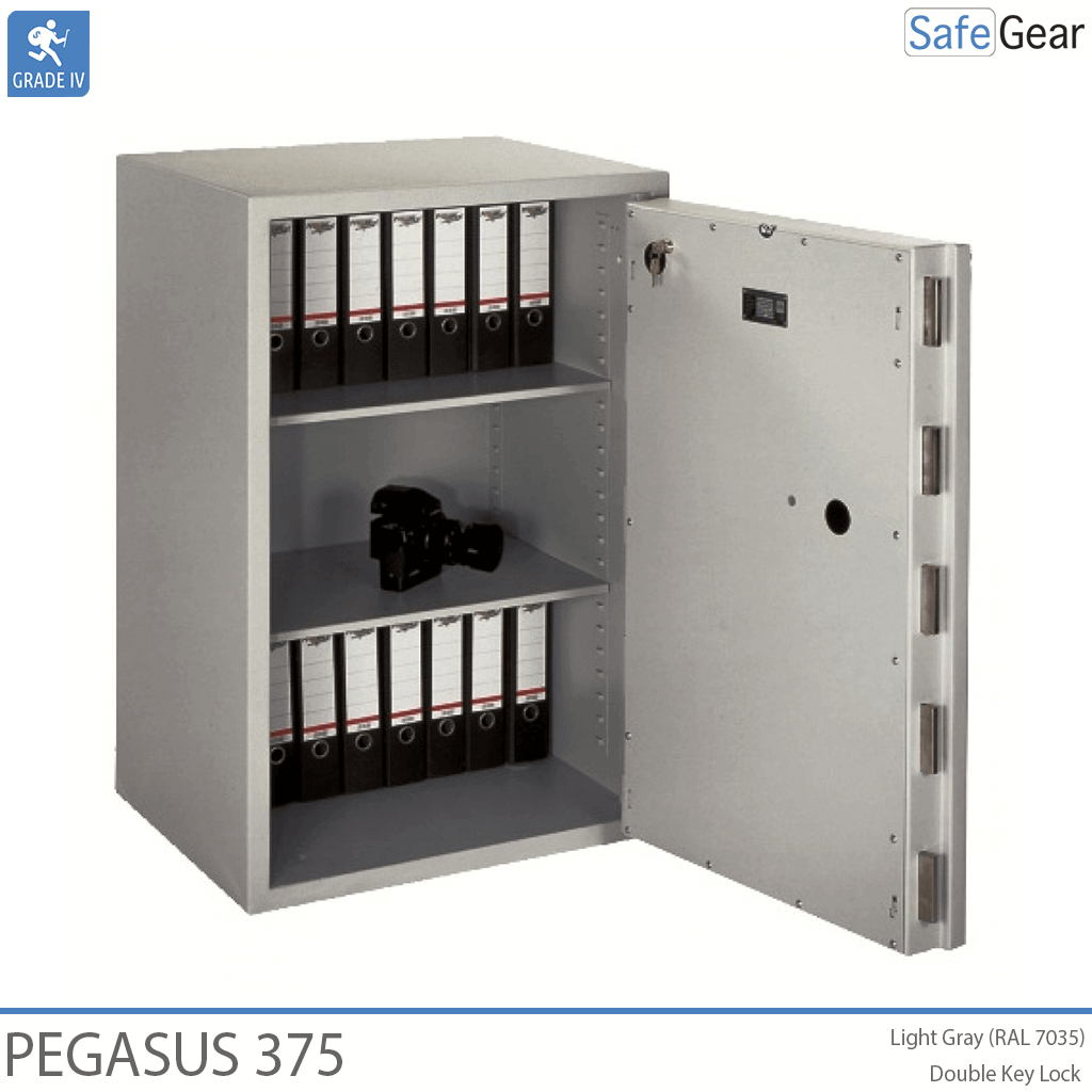 Pegasus 375 - open door