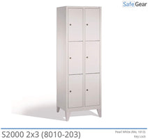 Storage cabinet S2000 with 2x3 compartments (8010-203) - cylinder lock